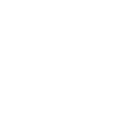 Adaptive Security logo